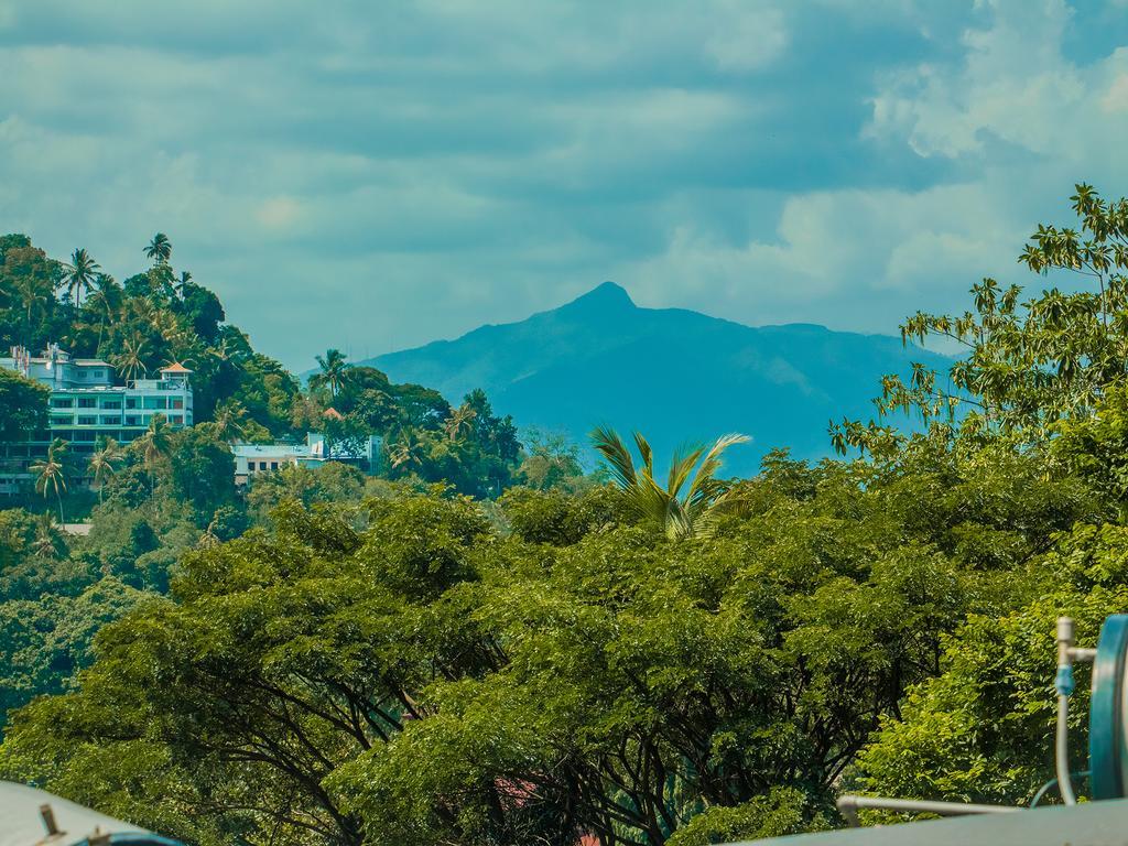 Aronka Homestay كاندي المظهر الخارجي الصورة