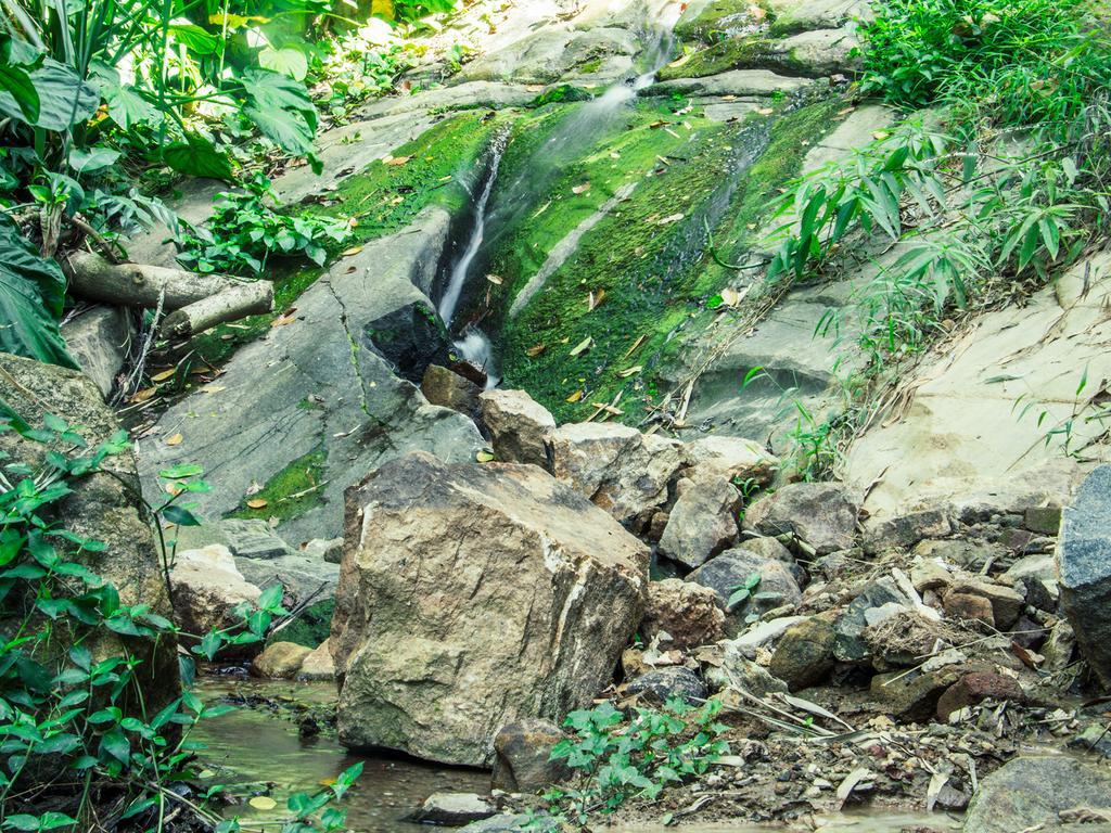 Aronka Homestay كاندي المظهر الخارجي الصورة