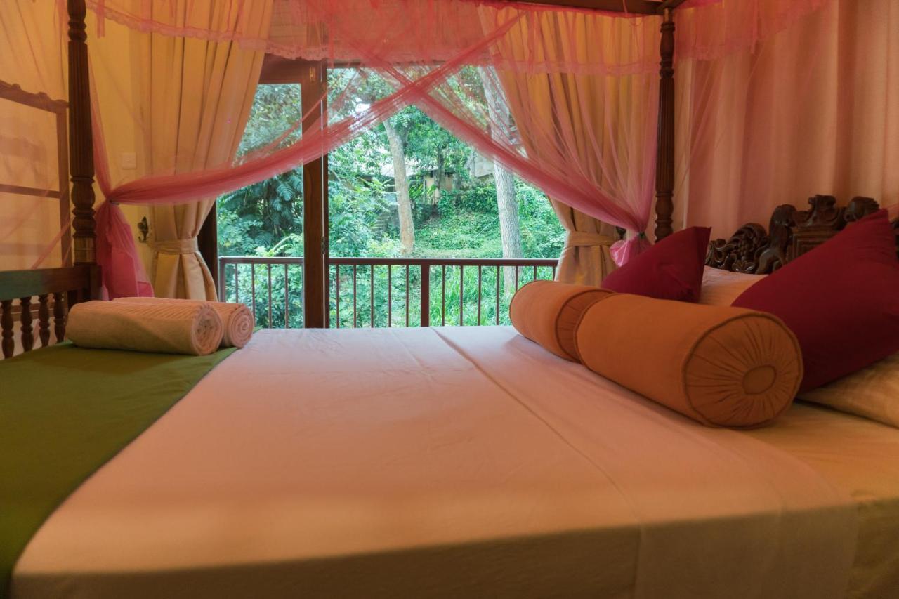 Aronka Homestay كاندي المظهر الخارجي الصورة