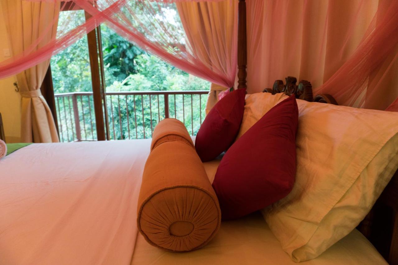 Aronka Homestay كاندي المظهر الخارجي الصورة